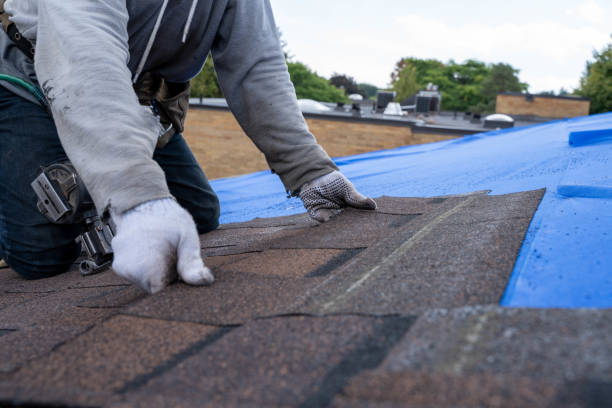 Best Storm Damage Roof Repair  in , MS